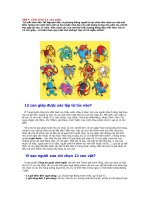 12 CON GIÁP ..........