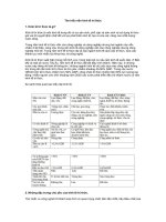 Tim hieu nen KT tri thuc 