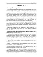 Kế toán tập hợp chi phí sản xuất và tính giá thành sản phẩm tại công ty TNHH Bảo Lâm