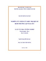 Nghiên cứu châm cứu điều trị một số bệnh thường gặp ở gia súc 