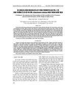 SO SáNH ĐA HìNH MICROSATELLITE VùNG PROMOTOR GEN Prl-1 Và SINH TRƯởNG ở Cá RÔ PHI VằN (Oreochromis niloticus) NUÔI TRONG NƯớC MặN