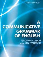 A communicative grammar of english
