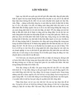 Thực trạng và giải pháp quá trình tích luỹ vốn của Việt Nam