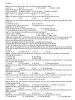 Đề OTDH cấp tốc 01