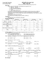 De thi hoc ki 2 toan 10