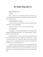 Kỹ thuật trồng nấm sò 