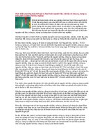 Hoàn thiện phương pháp tính giá và hạch toán nguyên liệu, vật liệu và công cụ, dụng cụ 