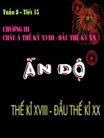 Giáo án Điện tử sử 8