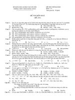 De thi thu DH 2009-co DA