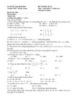 Đề thi kII môn Toan k 11