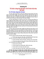 Chương IX tổ chức công tác kế toán và tổ chức bộ máy 