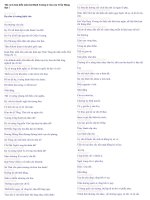 BẢN DIỄN NÔM HTS CỦA TQT