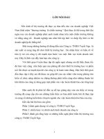 đánh giá tổng hợp và những kiến nghị phát triển thị trường của công ty TNHH Tuyết Nga