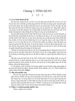 ĐÁNH GIÁ HIỆN TRẠNG NÔNG dân TRỒNG lúa xã VĨNH CHÁNH sử DỤNG PHÂN SINH học WEHG 