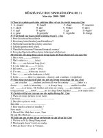 De thi Anh 6 s0 39 hot)