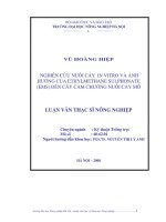 [Luận văn]nghiên cứu nuôi cấy in vitro và ảnh hưởng của ethylmethane sulphonate (EMS) đến cây cẩm chướng nuôi cấy mô 