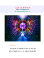 NGHIEN CUU VE TAM THUC -  STUDY IN CONSCIOUSNESSx 