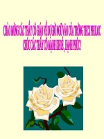 VB Anh Trang Nguyen Duy