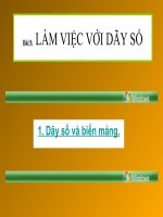 bai 9 : các loại rễ - các miền của rễ