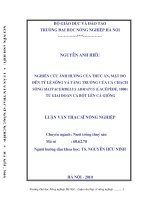 Nghiên cứu ảnh hưởng của thức ăn,mật độ đến tỉ lệ sống và ăng trưởng của cá chạch sông mastacembelus armatus(lacépèđe,1800) từ giai đoạn cá bột lên cá giống 