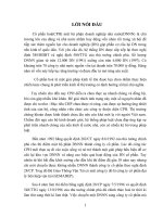 Các mục tiêu chính hiện nay mà CPH có triển vọng giải quyết 