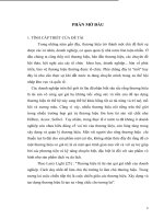 Những giải pháp nhằm củng cố thương hiệu khách sạn hương giang trong thời kỳ hội nhập 