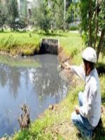 Xử lý nước ô nhiễm trong ao cá 