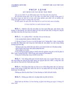 Pháp lệnh Quy định cấm nấu rượu trái phé