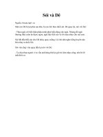 Đề thi học sinh giỏi cấp tỉnh môn địa lớp 9 năm 2008   2009 