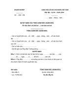 QUYẾT ĐỊNH CỦA TỔNG GIÁM ĐỐC (GIÁM ĐỐC) Về việc đình chỉ (bãi bỏ …) văn bản sai trái 