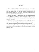 Vốn nước ngoài với quá trình công nghiệp hoá - hiện đại hoá ở Việt Nam