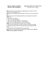 đề kiểm tra học kì II. văn 8