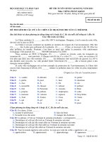 ĐỀ THI TUYỂN SINH CAO ĐẲNG NĂM 2011 Môn: TIẾNG PHÁP; Khối D mã đề 682 