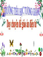 Động vật ăn gì để sống