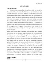 “Một số giải pháp thúc đẩy bán hàng qua mạng internet ở Việt Nam” 