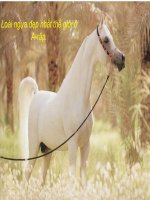 Ảnh đẹp nhất thế giới