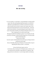 Tác phẩm của Sơn Nam