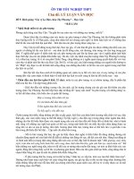 Ôn thi TN - Đề 5 (Lý luận văn học)