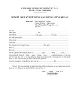 ĐƠN ĐỀ NGHỊ KÝ HỢP ĐỒNG LAO ĐỘNG LƯƠNG KHOÁN