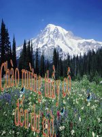 Lesson 10: P p  - Let''''s go Starter