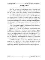 “ Đầu tư phát triển tại Công ty Cổ phần Tập đoàn đầu tư thương mại công nghiệp Việt Á. Thực trạng và giải pháp “