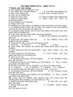 Đê cương ôn tập học kỳ II Lớp 11