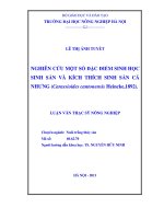 Nghiên cứu một số đặc điểm sinh học sinh sản và kích thích sinh sản cá nhưng (carassioides cantonensis heincke, 1892) 