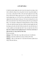 Quá trình cổ phần hoá tại công ty bánh kẹo Hải Châu