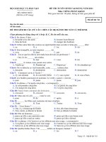 ĐỀ THI TUYỂN SINH CAO ĐẲNG NĂM 2011 Môn: TIẾNG PHÁP; Khối D mã đề 741 