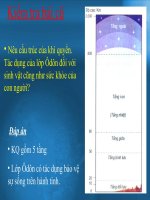 Phan bo nhiet do khong khi tren TĐ