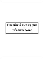 Tìm hiểu về dịch vụ phát triển kinh doanh