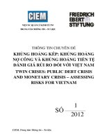 Khung hoang no cong va khung hoang tien te danh gia rui ro doi voi viet nam 