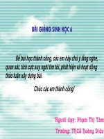 Sự thụ phấn Sinh hoc 6