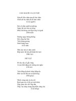 Câu đố Dân gian
